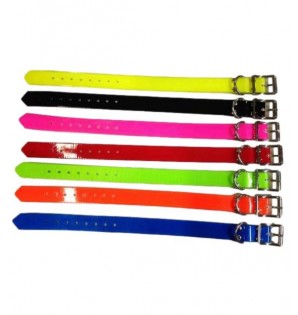 Collares de biotam de colores